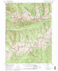 Dromedary Peak 1955 topographic map thumbnail