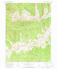 Dromedary Peak 1955 topographic map thumbnail