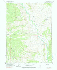 Dry Mountain 1962 topographic map thumbnail