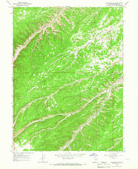Duchesne SW 1964 topographic map thumbnail
