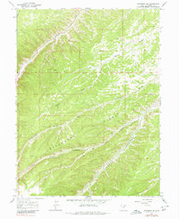 Duchesne SW 1964 topographic map thumbnail
