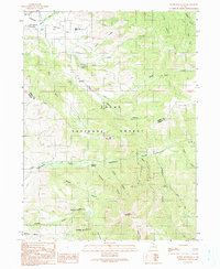 Durst Mountain 1990 topographic map thumbnail
