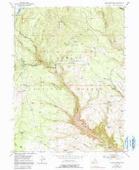 Dyer Mountain 1950 topographic map thumbnail