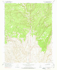 East of The Navajo 1968 topographic map thumbnail