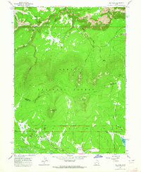 Elk Park 1963 topographic map thumbnail