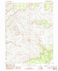 Fiddler Butte 1988 topographic map thumbnail