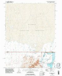Fish Springs NW 1993 topographic map thumbnail