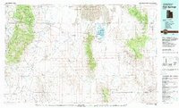Fish Springs 1979 topographic map thumbnail