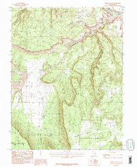 Fisher Valley 1985 topographic map thumbnail
