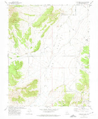 Flake Mtn East 1971 topographic map thumbnail