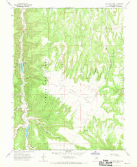 Flat Rock Mesa 1966 topographic map preview