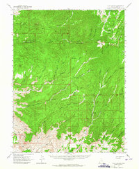 Floy Canyon 1963 topographic map thumbnail