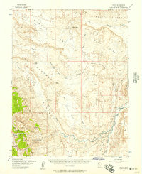 Fruita 1954 topographic map preview