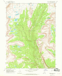 Garfield Basin 1967 topographic map thumbnail
