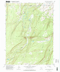 Gilbert Peak NE 1967 topographic map thumbnail