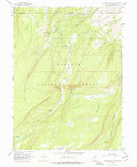 Gilbert Peak NE 1967 topographic map thumbnail