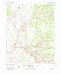 Grand Gulch 1963 topographic map thumbnail