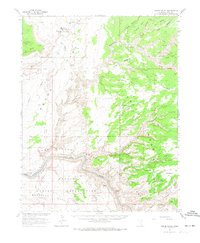 Grand Gulch 1963 topographic map thumbnail