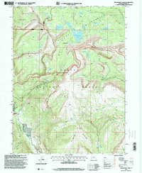 Grandaddy Lake 1996 topographic map thumbnail