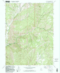 Granger Mtn 1994 topographic map thumbnail