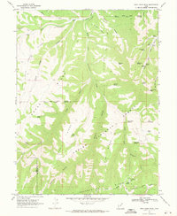 Gray Head Peak 1969 topographic map thumbnail