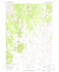 Grouse Creek 1971 topographic map preview