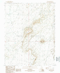 Hogan Mesa 1989 topographic map thumbnail