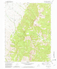 Ibapah Peak 1972 topographic map thumbnail