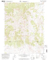 Indian Springs 1998 topographic map thumbnail