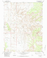 Ireland Mesa 1983 topographic map thumbnail
