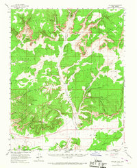 Johnson 1954 topographic map thumbnail