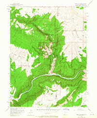 Jones Hole 1955 topographic map thumbnail