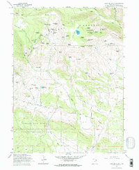 Lake Mountain 1965 topographic map thumbnail