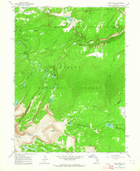 Leidy Peak 1963 topographic map thumbnail