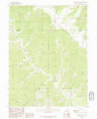 Lighthouse Canyon 1985 topographic map thumbnail