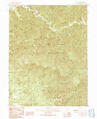 Lion Canyon 1991 topographic map thumbnail