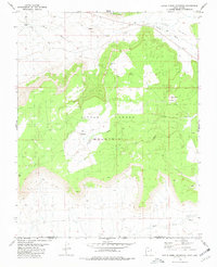 Little Creek Mountain 1980 topographic map thumbnail