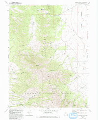 Lookout Pass 1993 topographic map thumbnail
