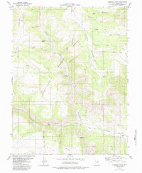 Mahogany Point 1979 topographic map thumbnail