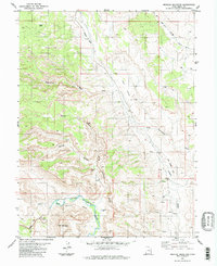 Mexican Mountain 1983 topographic map thumbnail