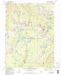 Mirror Lake 1991 topographic map thumbnail
