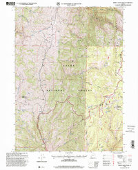 Monte Cristo Peak 1998 topographic map thumbnail