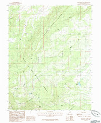 Monticello Lake 1985 topographic map thumbnail