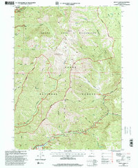 Mount Elmer 1998 topographic map thumbnail
