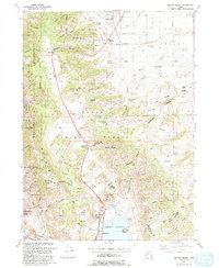 Mount Pisgah 1991 topographic map thumbnail