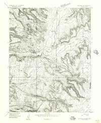 Mt. Waas 1 NE 1954 topographic map thumbnail
