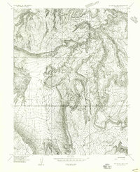 Mt. Waas 4 NW 1954 topographic map thumbnail