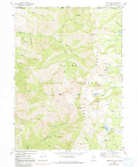 Naomi Peak 1969 topographic map thumbnail