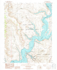 Nasja Mesa 1987 topographic map thumbnail