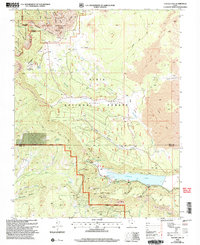 Navajo Lake 2002 topographic map thumbnail